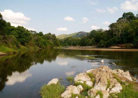 Voyage sur-mesure, Nkhotakota Wildlife Reserve